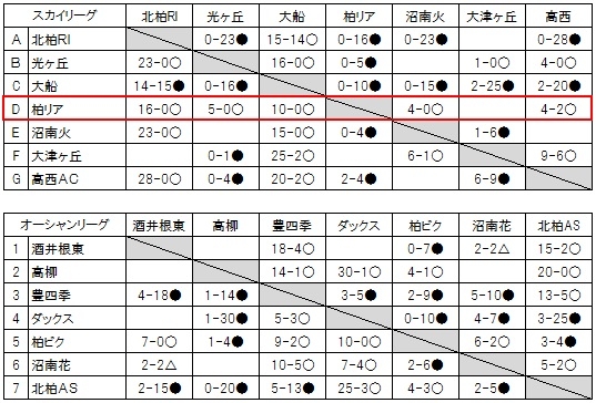 2015スポ少春季大会予選 状況[4]